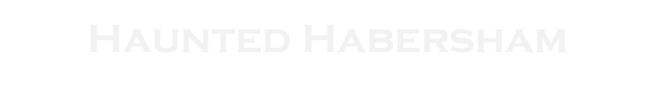 hauntedhabersham.com